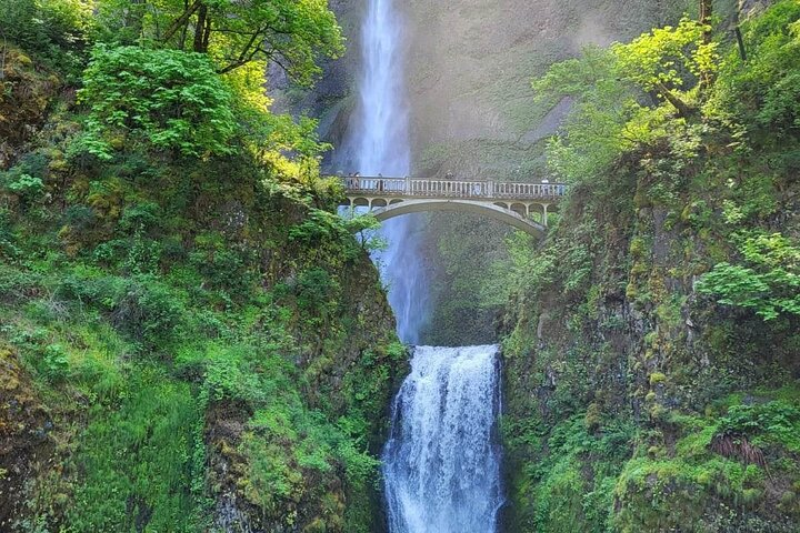 The beauty of the gorge on this waterfall tour will amaze you!